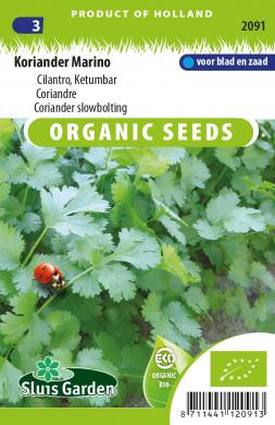 Coriander Marino BIO (Coriandrum sativum) 325 seeds